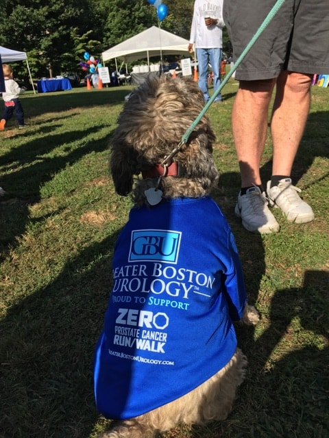 A dog wearing a Team GBU shirt